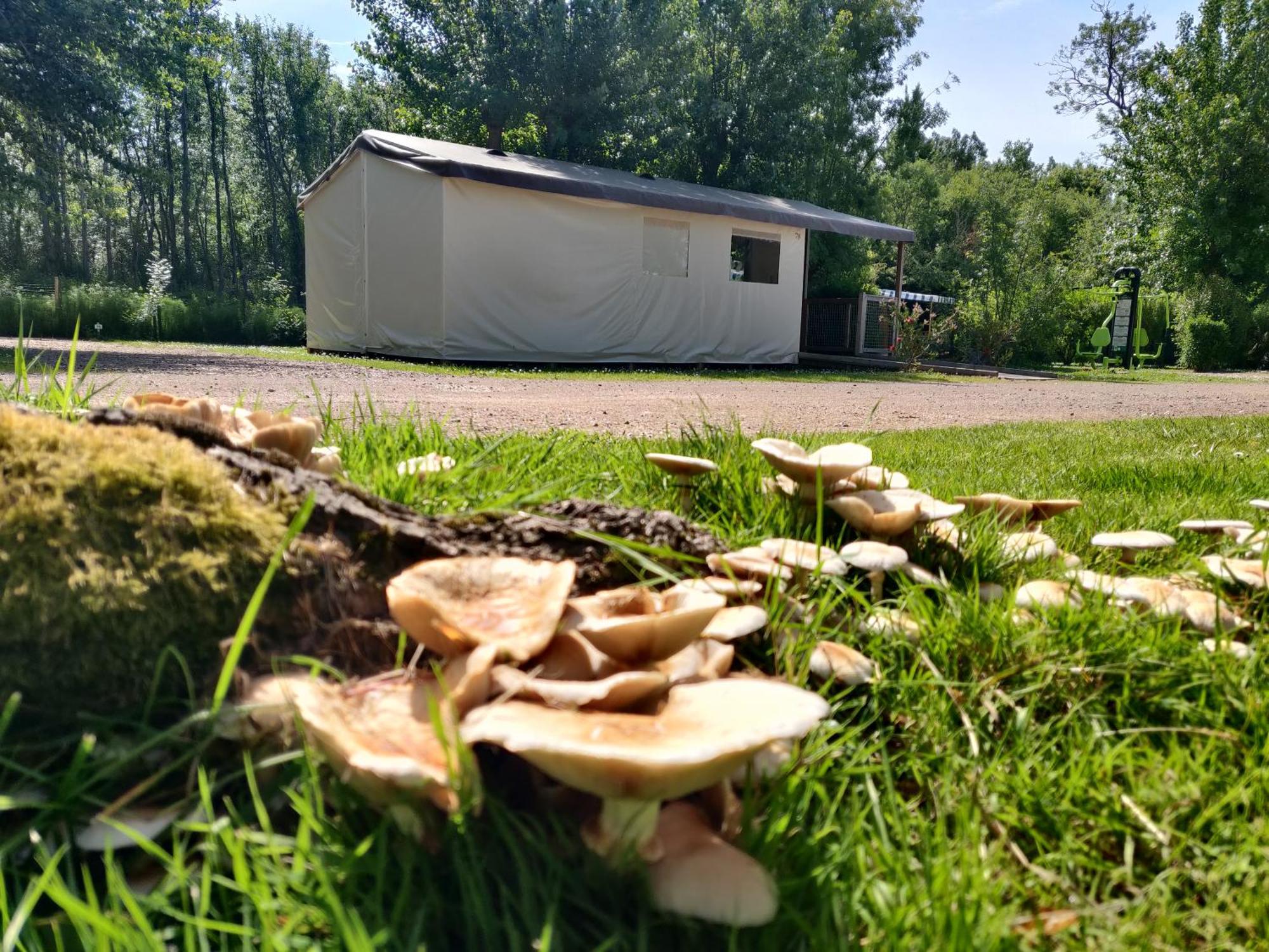 Camping Les Mancellieres Avrillé Dış mekan fotoğraf